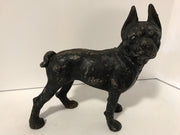Cast Iron Boston Terrier Antique Large Hubley Original Figurine Doorstop or Fireside piece