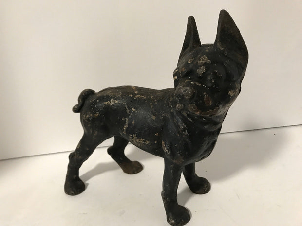 Cast Iron Boston Terrier Antique Large Hubley Original Figurine Doorstop or Fireside piece