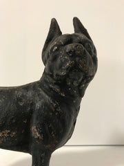 Cast Iron Boston Terrier Antique Large Hubley Original Figurine Doorstop or Fireside piece
