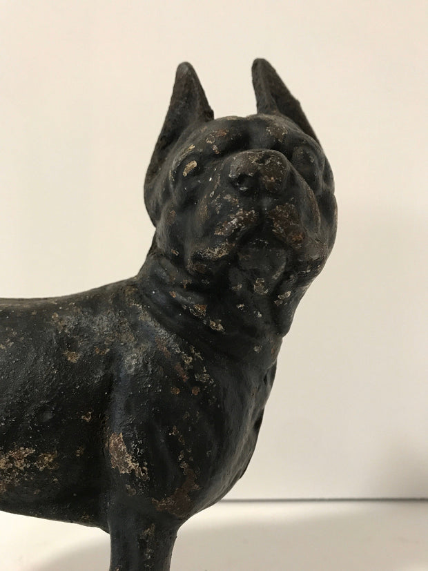 Cast Iron Boston Terrier Antique Large Hubley Original Figurine Doorstop or Fireside piece