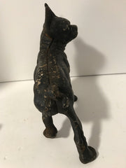 Cast Iron Boston Terrier Antique Large Hubley Original Figurine Doorstop or Fireside piece
