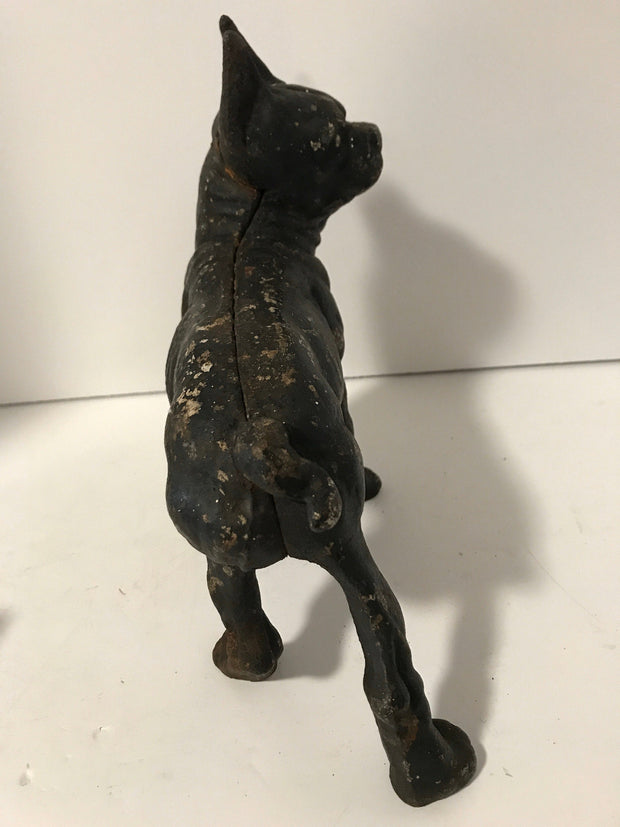 Cast Iron Boston Terrier Antique Large Hubley Original Figurine Doorstop or Fireside piece