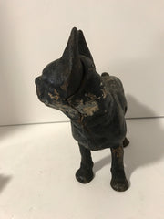 Cast Iron Boston Terrier Antique Large Hubley Original Figurine Doorstop or Fireside piece