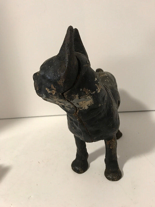 Cast Iron Boston Terrier Antique Large Hubley Original Figurine Doorstop or Fireside piece
