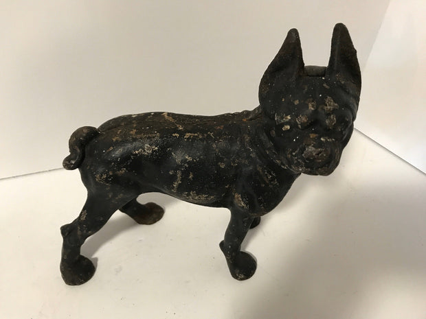 Cast Iron Boston Terrier Antique Large Hubley Original Figurine Doorstop or Fireside piece